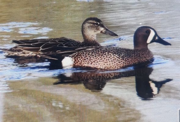 Thursday 23rd April 2026